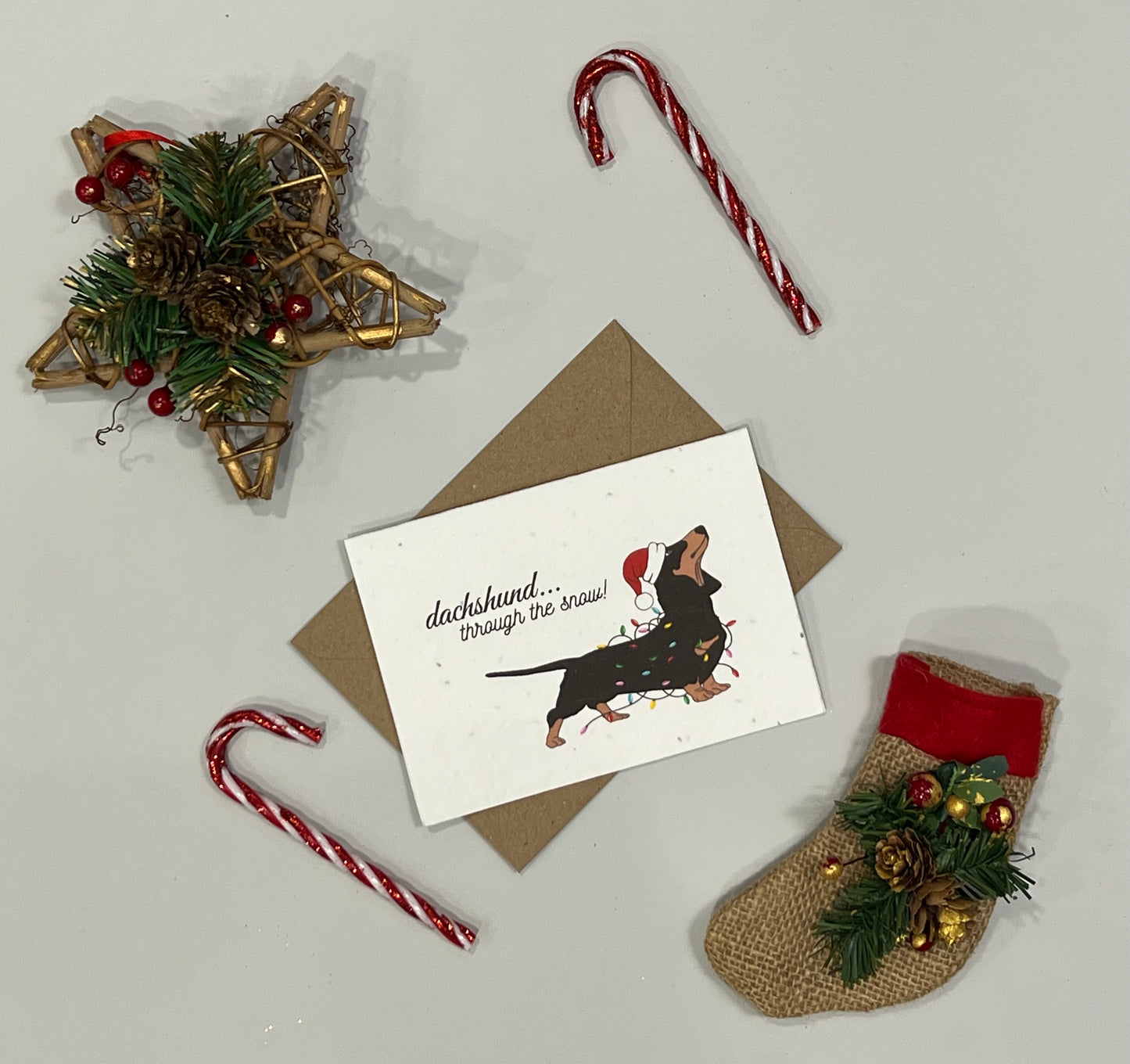 Dachshund Christmas Card - Plantable Card