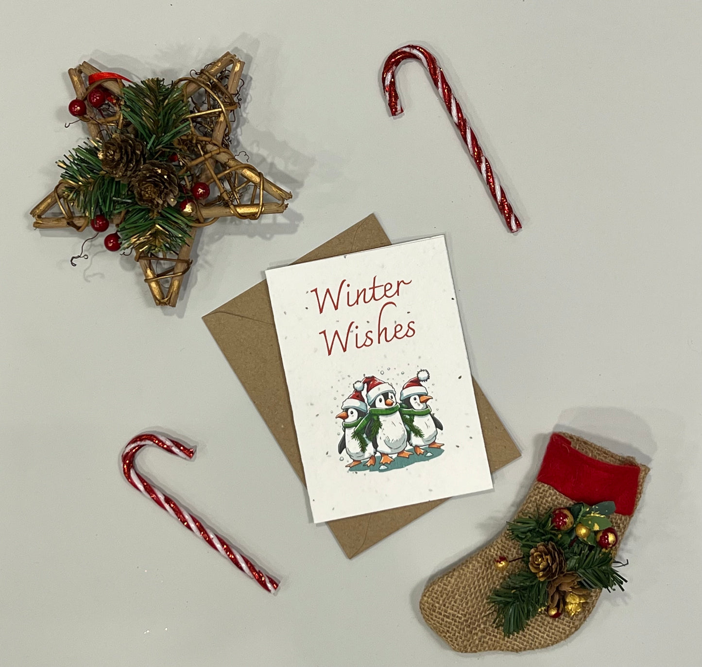 Winter Wishes - Plantable Card