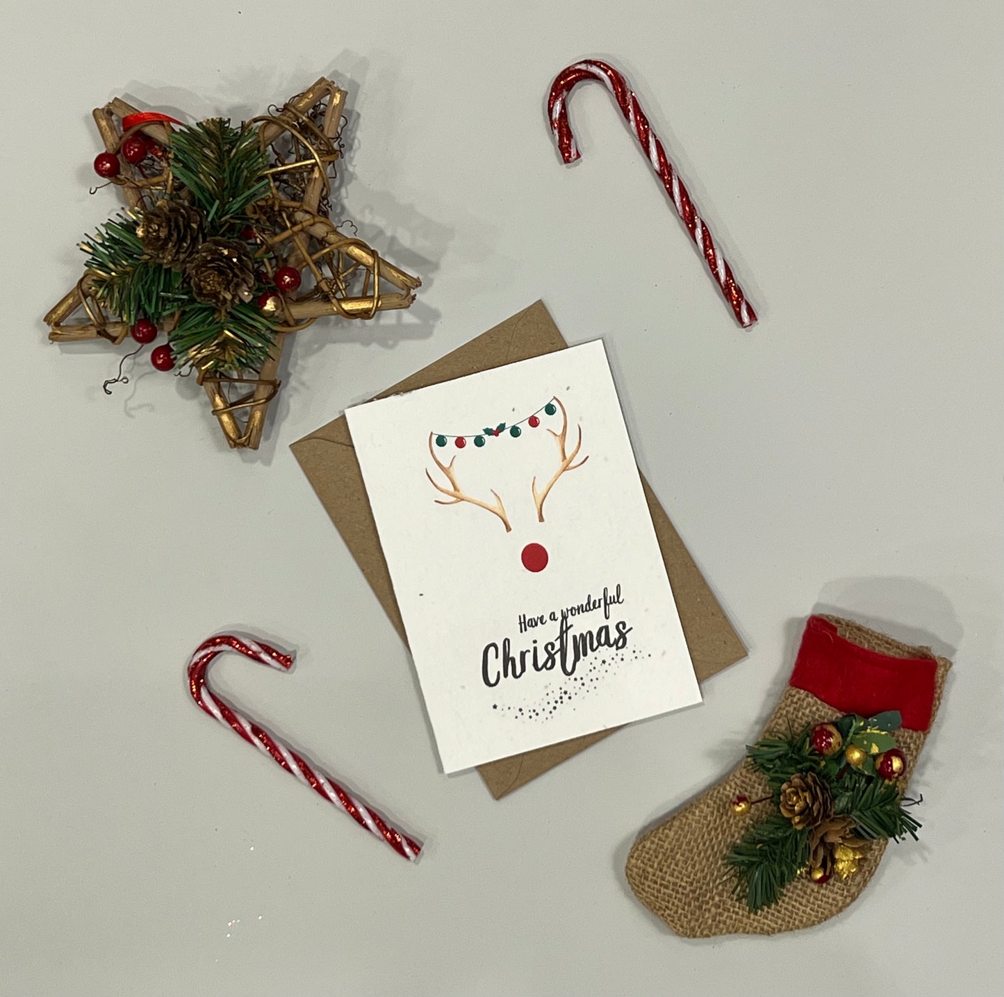 Wonderful Christmas - Plantable Card