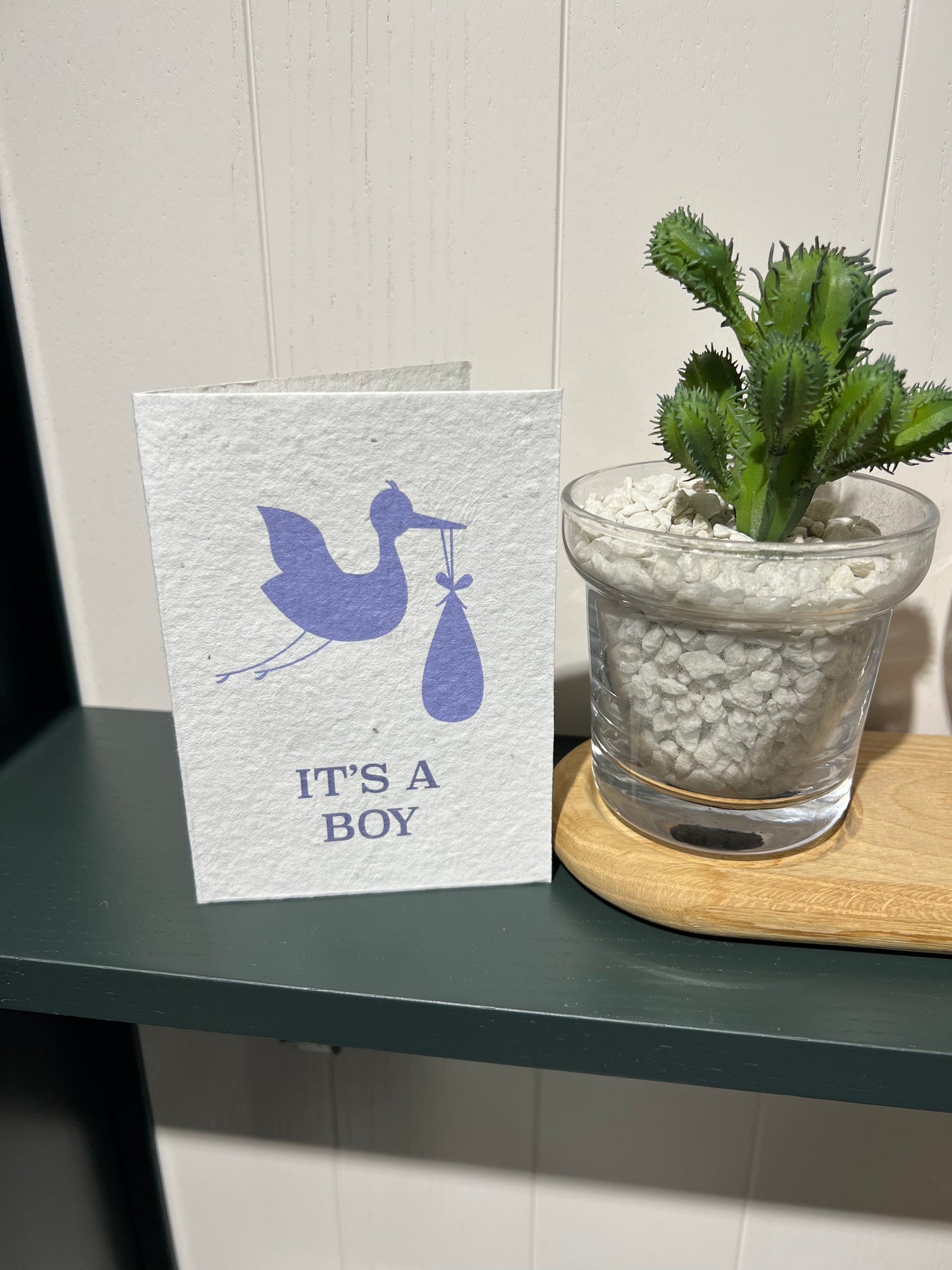 It’s a Boy! - Plantable Card