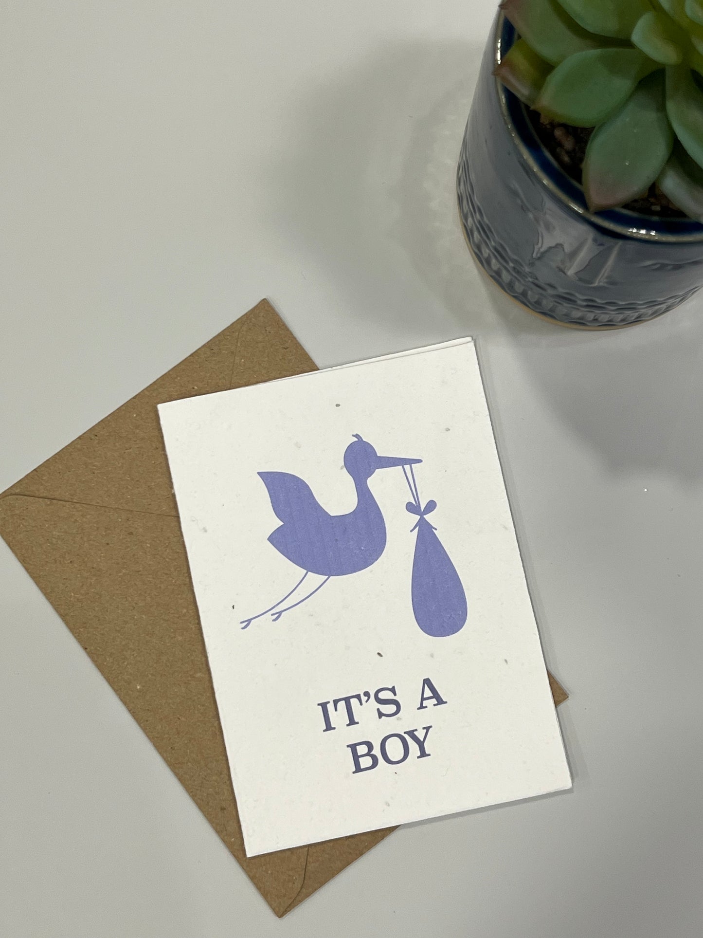 It’s a Boy! - Plantable Card